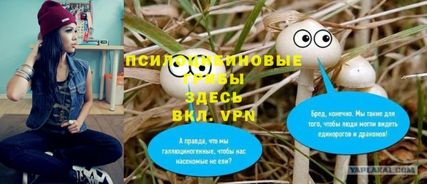 ГАЛЛЮЦИНОГЕННЫЕ ГРИБЫ Михайловка