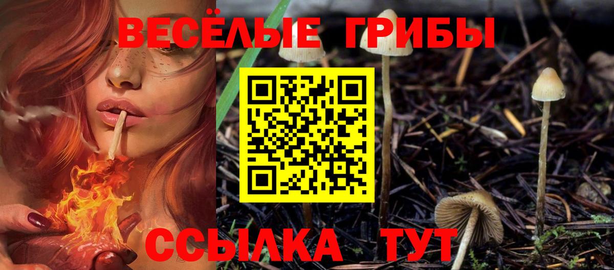 Галлюциногенные грибы Magic Shrooms Якутск