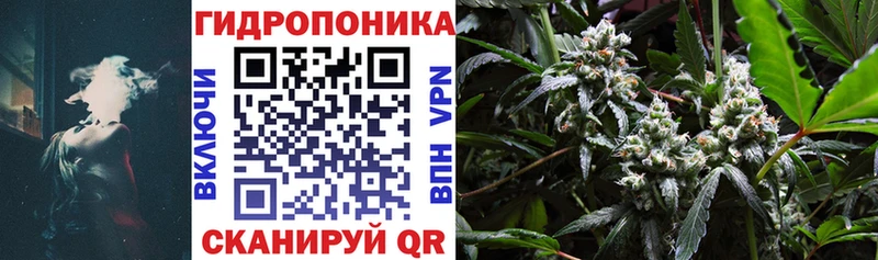 Каннабис OG Kush Якутск